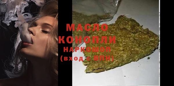 молекула духа Осинники