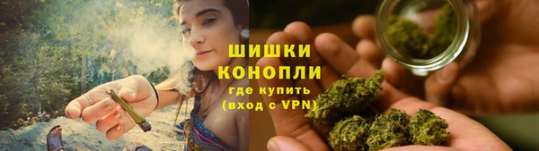молекула духа Осинники