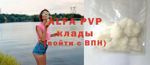 молекула духа Осинники