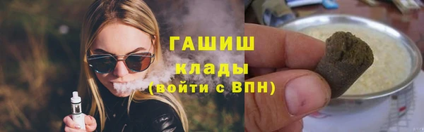 эйфоретик Няндома