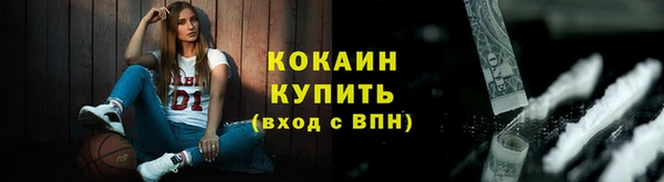 молекула духа Осинники