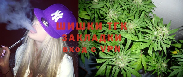молекула духа Осинники