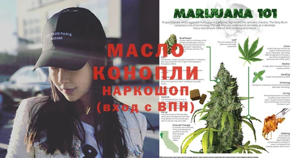 молекула духа Осинники