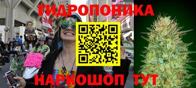 PSILOCYBIN Гагарин