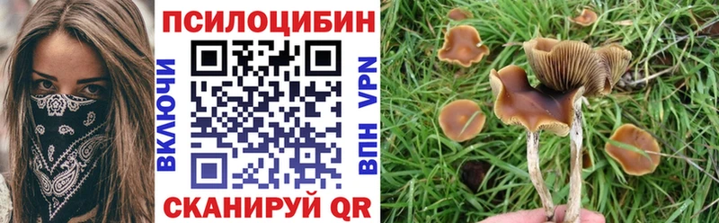 магазин продажи наркотиков  Алексин  Псилоцибиновые грибы Psilocybe 