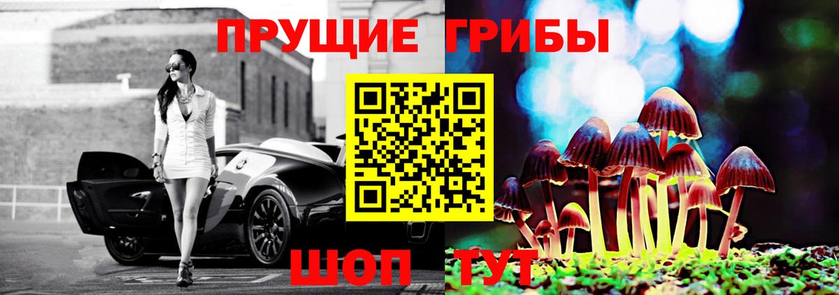 Псилоцибиновые грибы MAGIC MUSHROOMS  Псилоцибиновые грибы прущие грибы  Алексин 