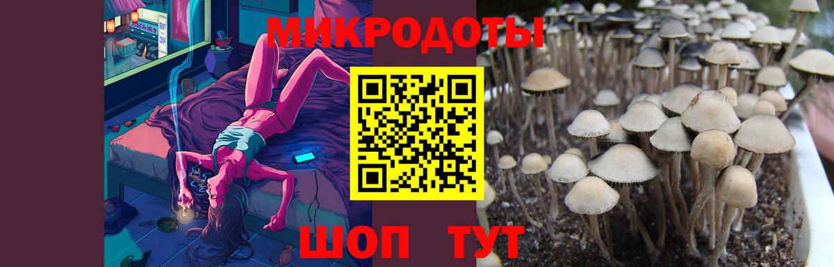 Галлюциногенные грибы Cubensis  Псилоцибиновые грибы GOLDEN TEACHER  Вход с VPN  Алексин 